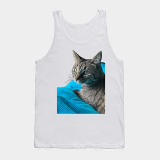 Cute Tabby with Blanket Tank Top